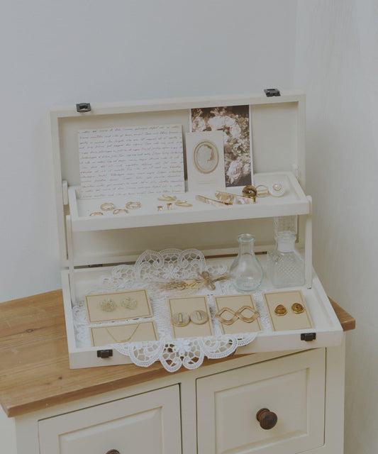 WEB Limited Item Display Trunk Box Slim / choupinet