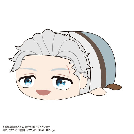 WIND BREAKER_WB-13 Potekoro Mascot Msize2 G Umemiya Hajime (Casual Ver.)