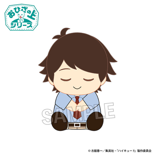 Haikyuu!! On-the-Lap Series Nap ver. Tetsuro Oikawa