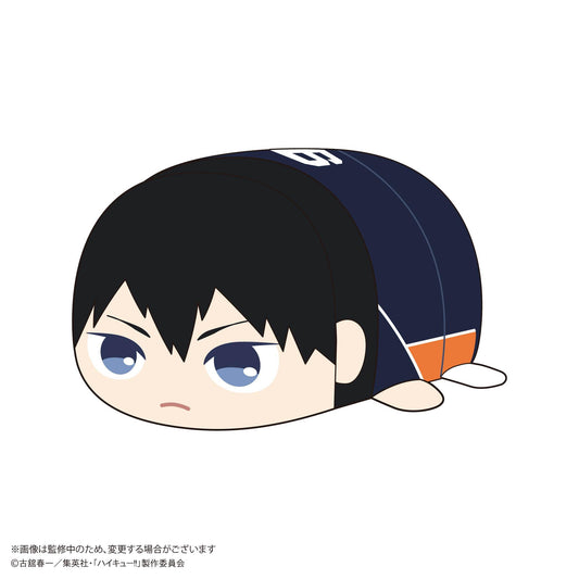 Haikyu!!_HQ-74 PoteCoro Mascot Msize B Kageyama Tobio