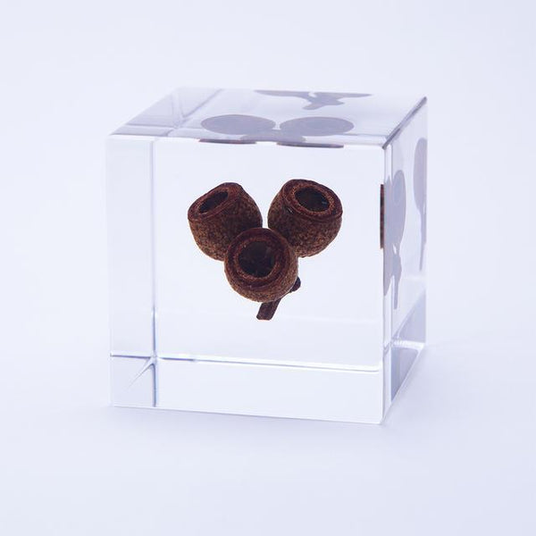 167103223