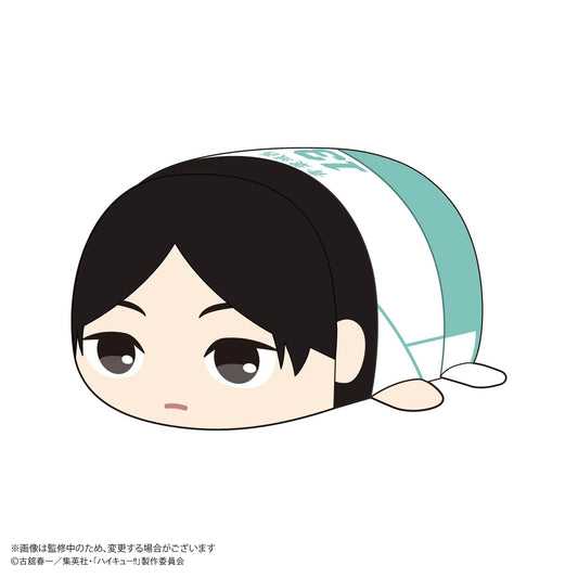 Haikyu!! HQ-75 PoteCoro Mascot BIG F Akira Kunimi