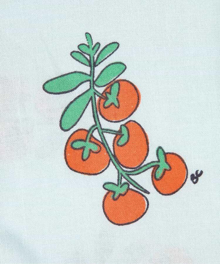 170011516