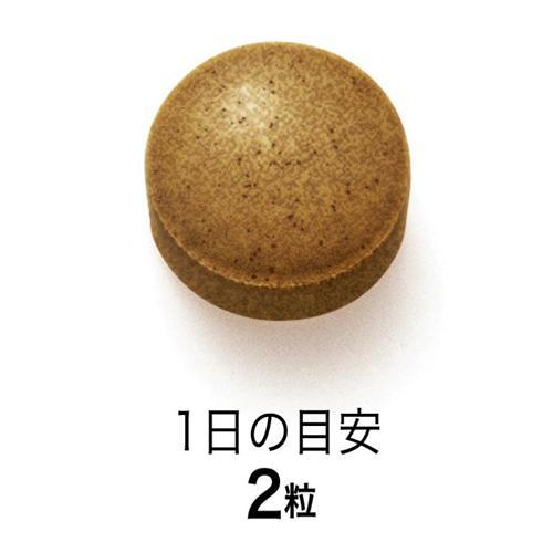 172419678