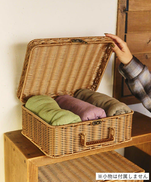 PE Rattan Trunk Basket