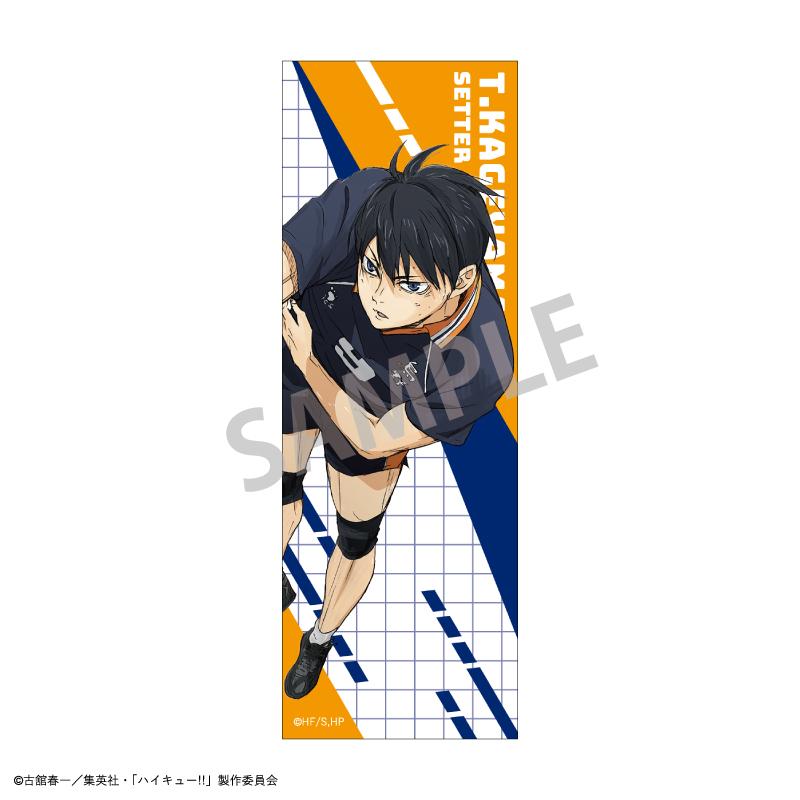 227676207