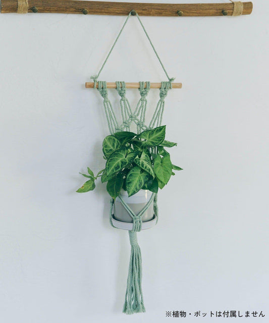 Macrame Plant Hanger