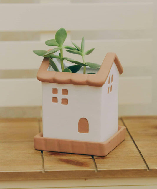 House-shaped planter with saucer No. 2 / House plant