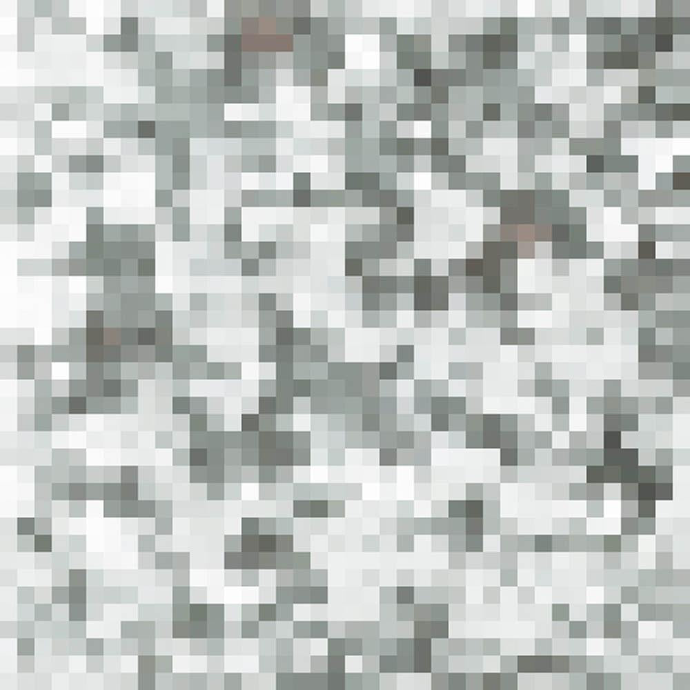 172501138