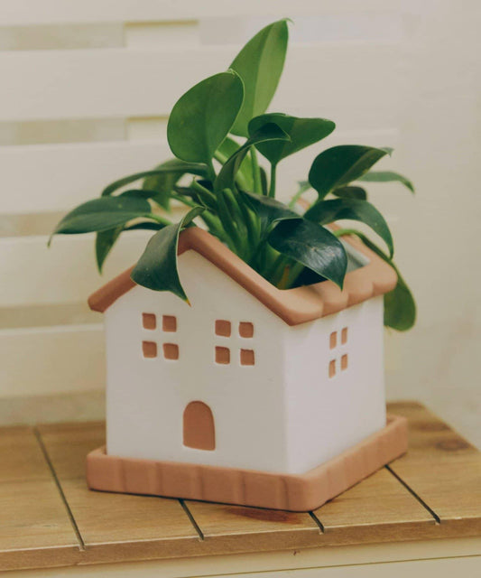 House-shaped Pot with Saucer (Size 3) / House Plant