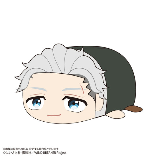 WIND BREAKER_WB-07 Pote Koro Mascot BIG D Umemiya Hajime