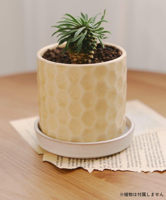 Crackle Honeycomb Pot with Saucer, Size 3