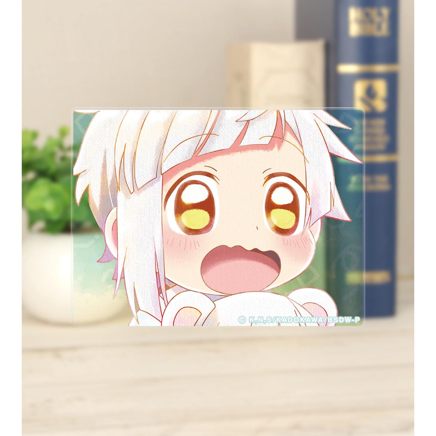 141999560