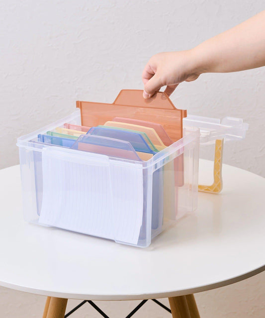 Storage Box with Removable Dividers
