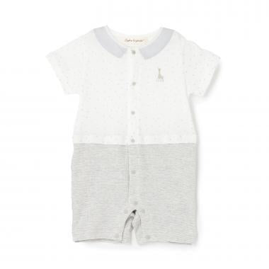 169610684
