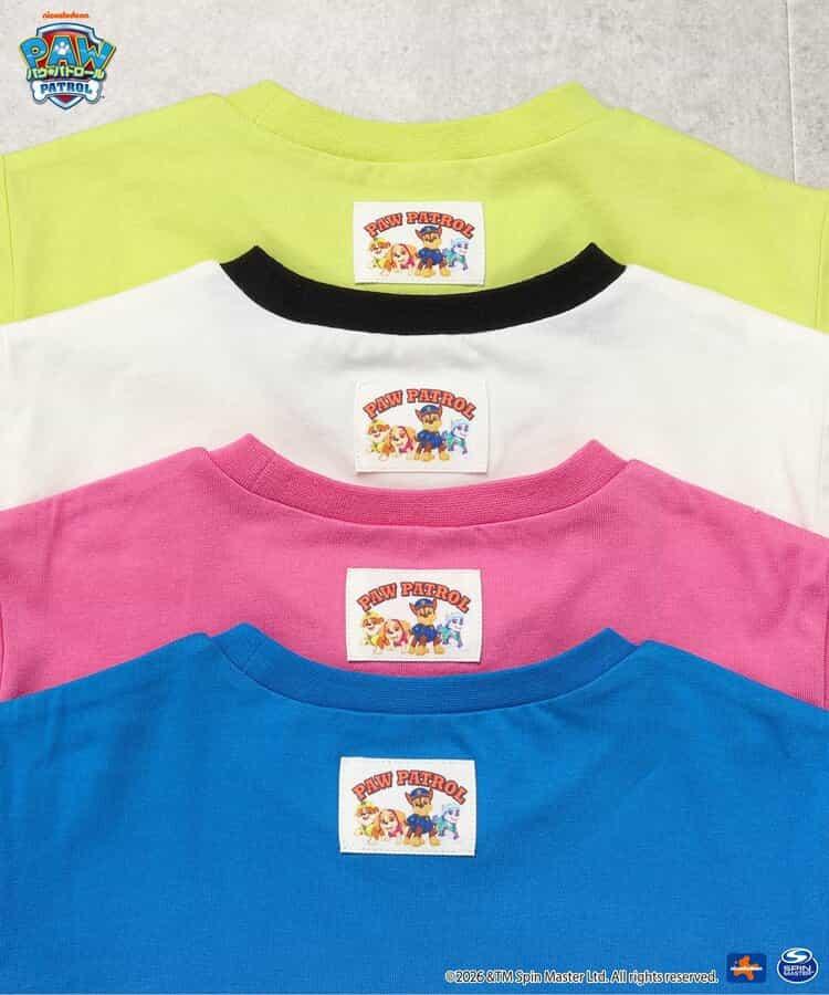 169988556