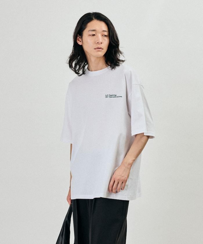 170253923