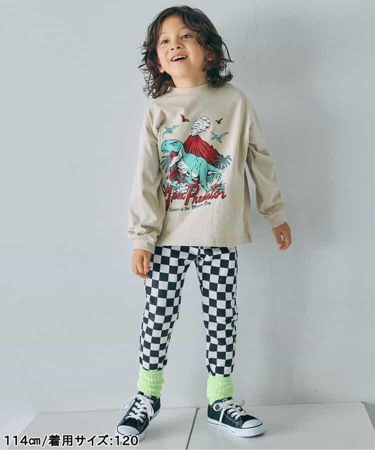 172642429