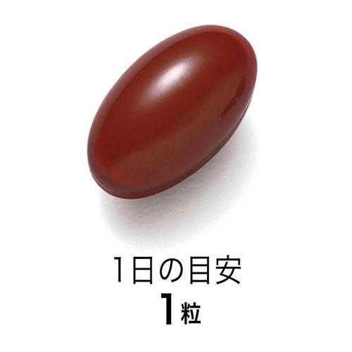 172406394