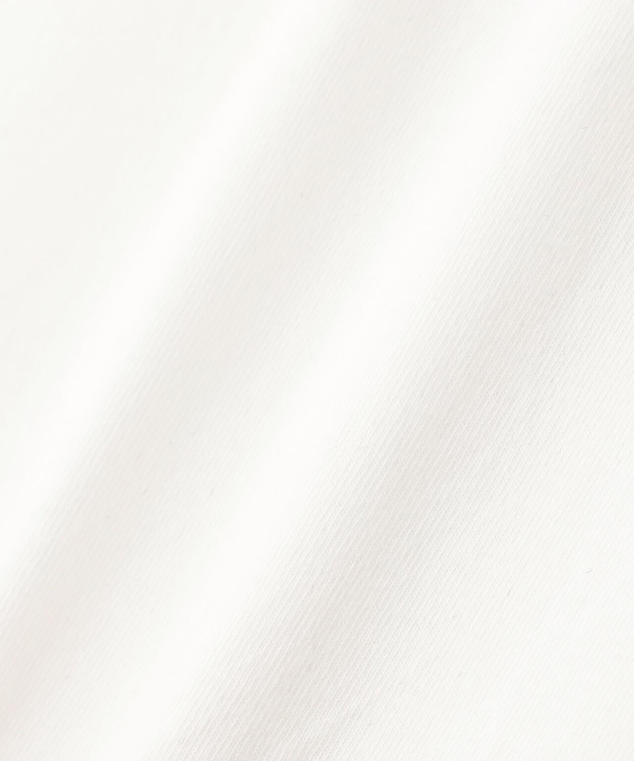 170950036