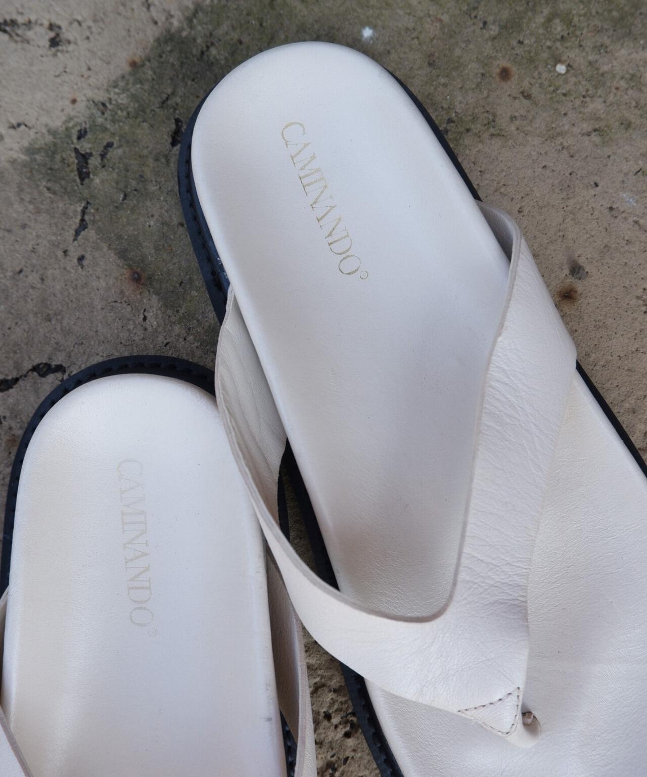 160219796