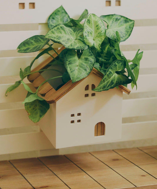 Home Hanging Pot Cover / Home Plant