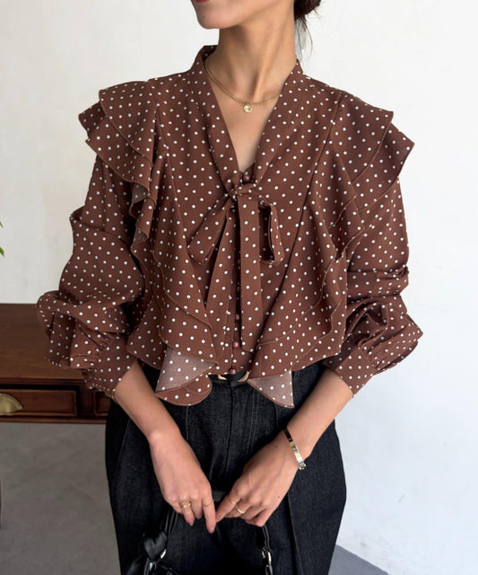 Ruffled Dot Blouse