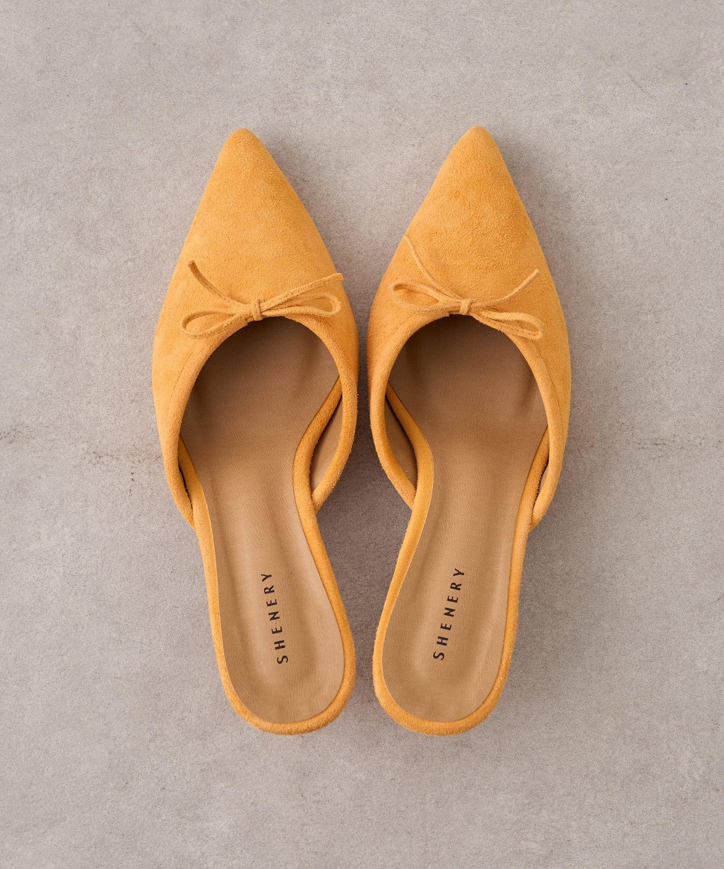 169044520