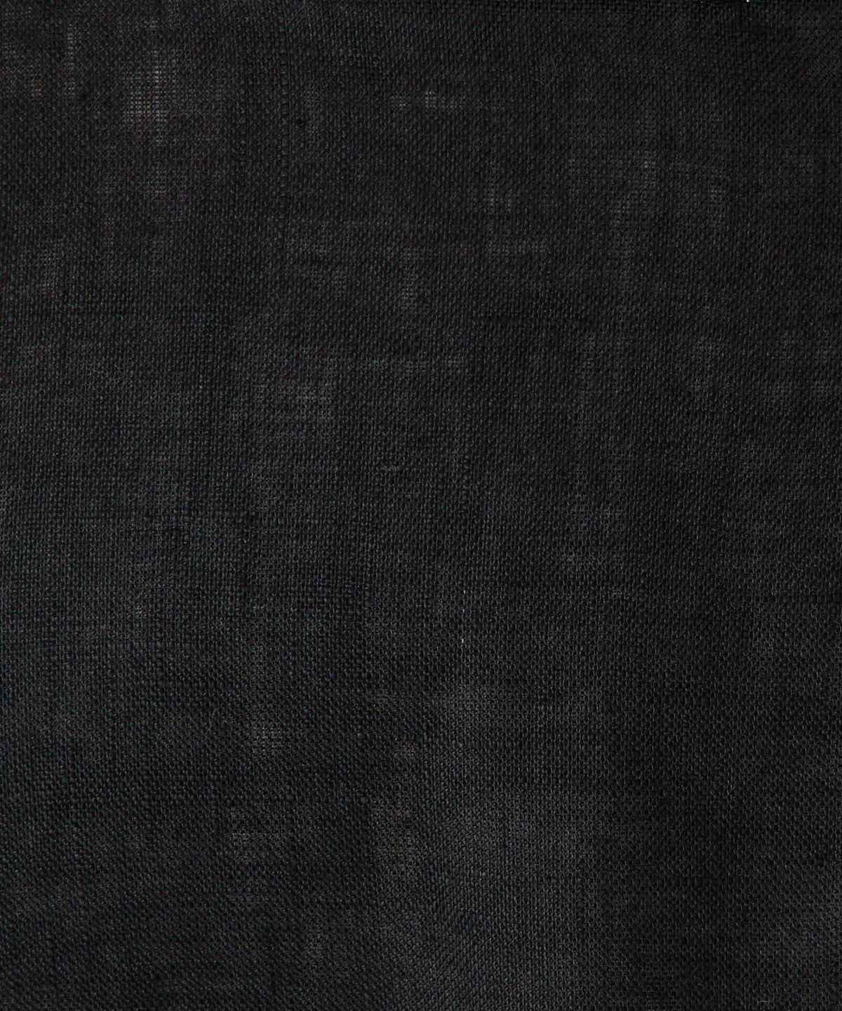 169701531