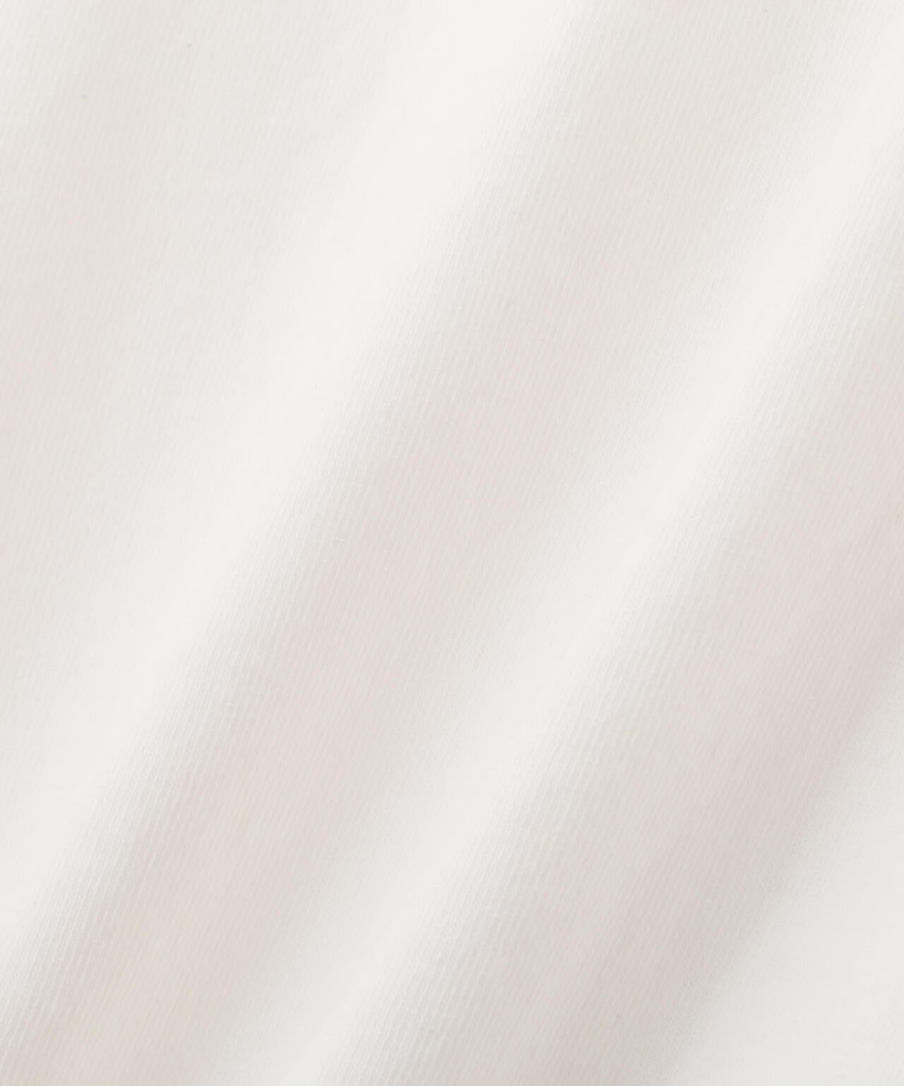 154676197