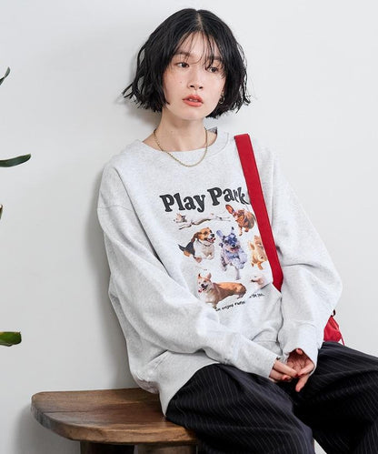 167762146