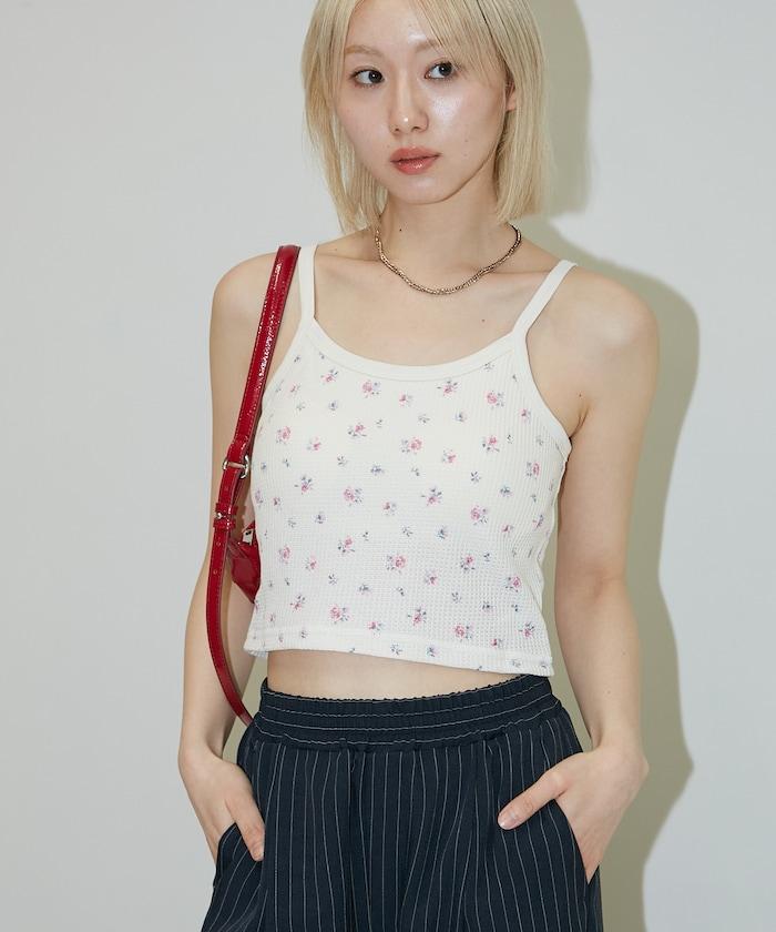 170206244