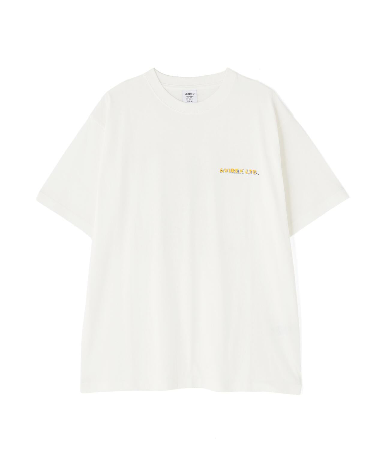 170978153