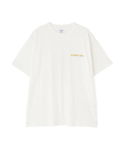 170978153
