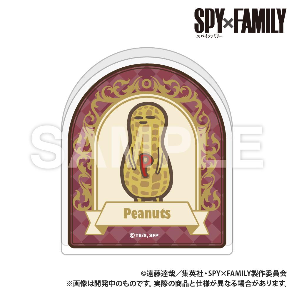 149504107