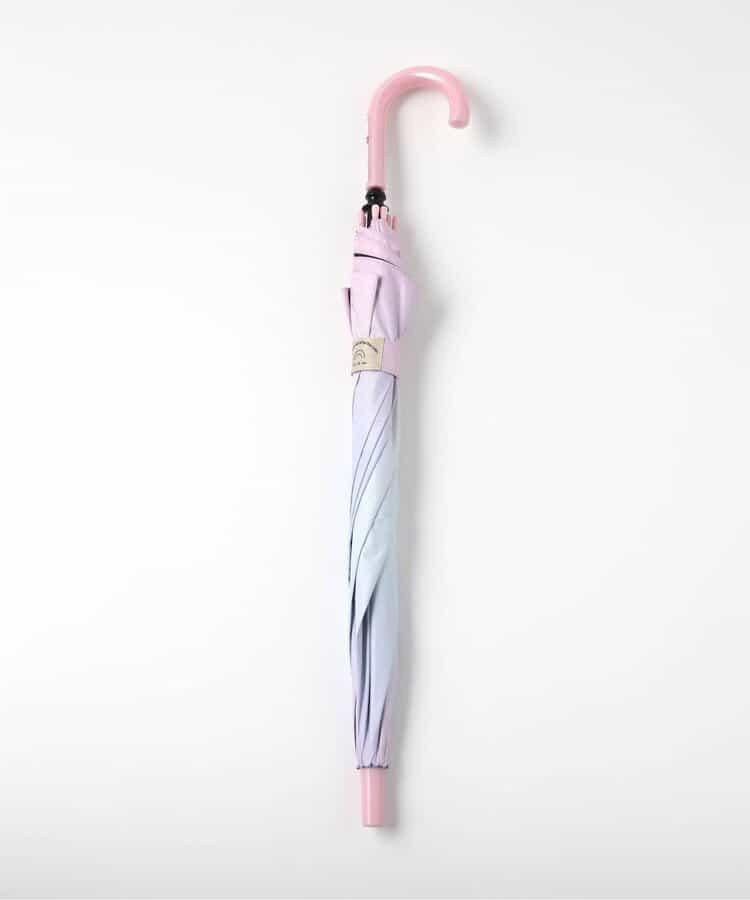 171249069