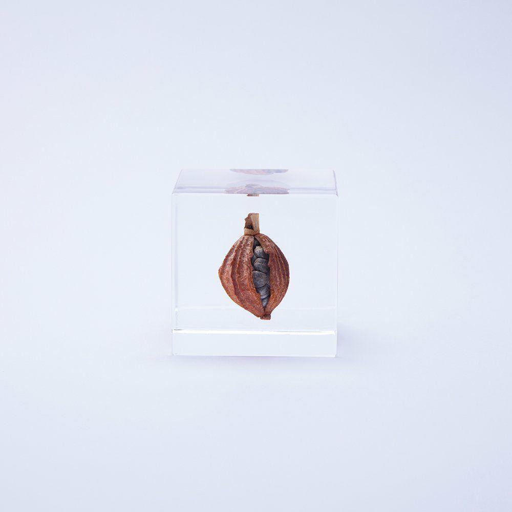 167102306