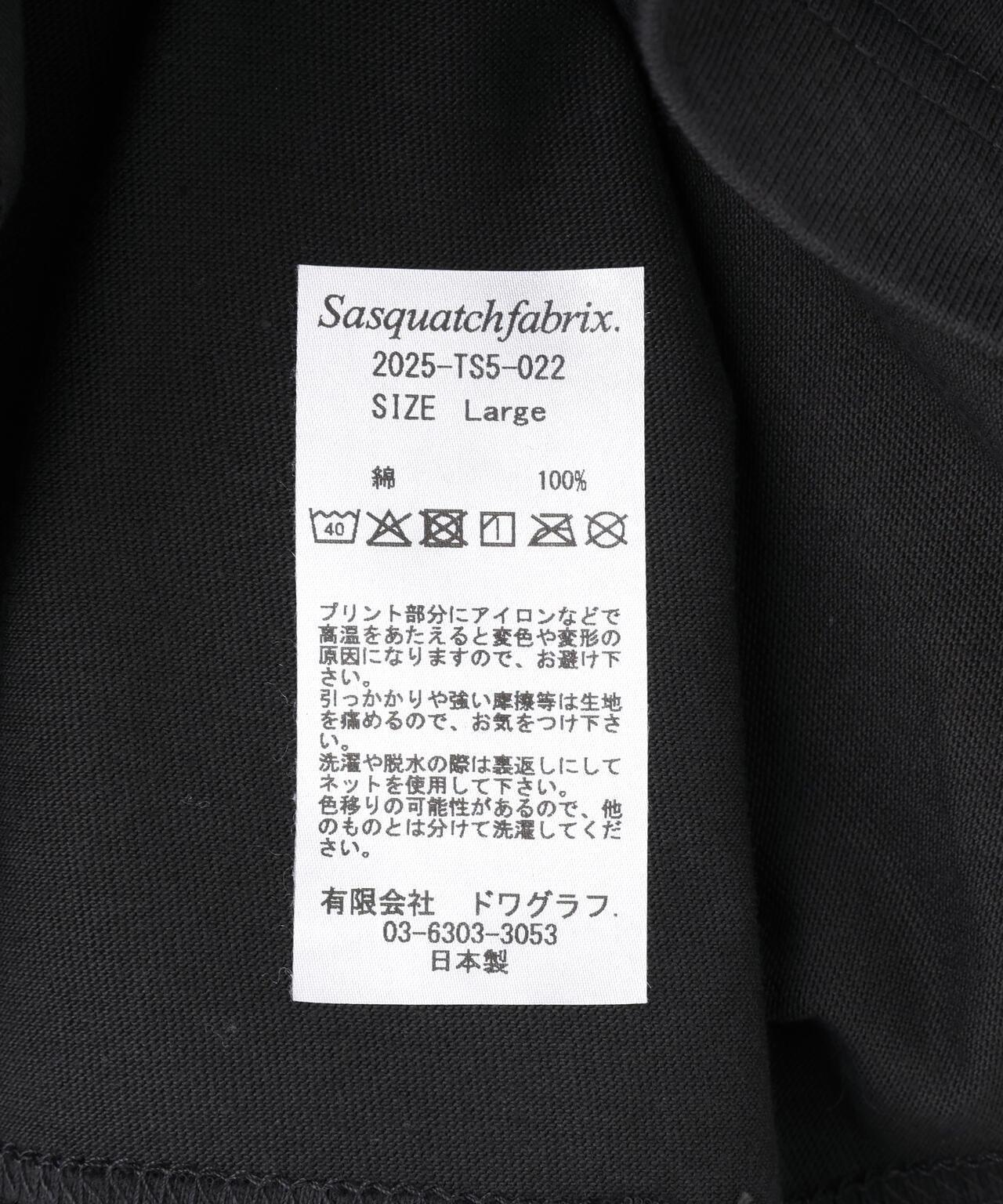 162198381