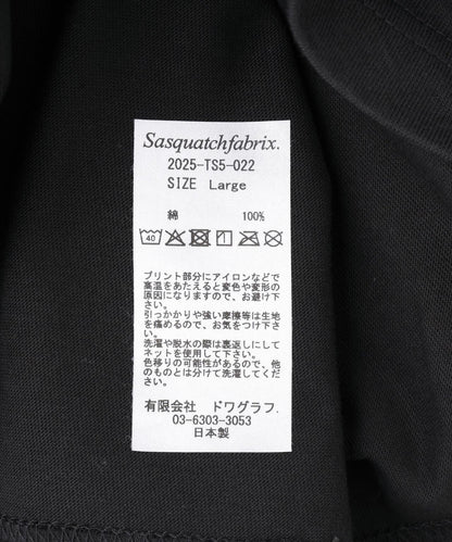 162198381