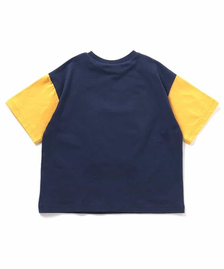 169576881
