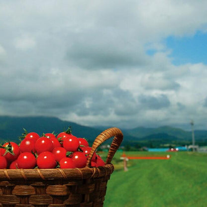 172562053