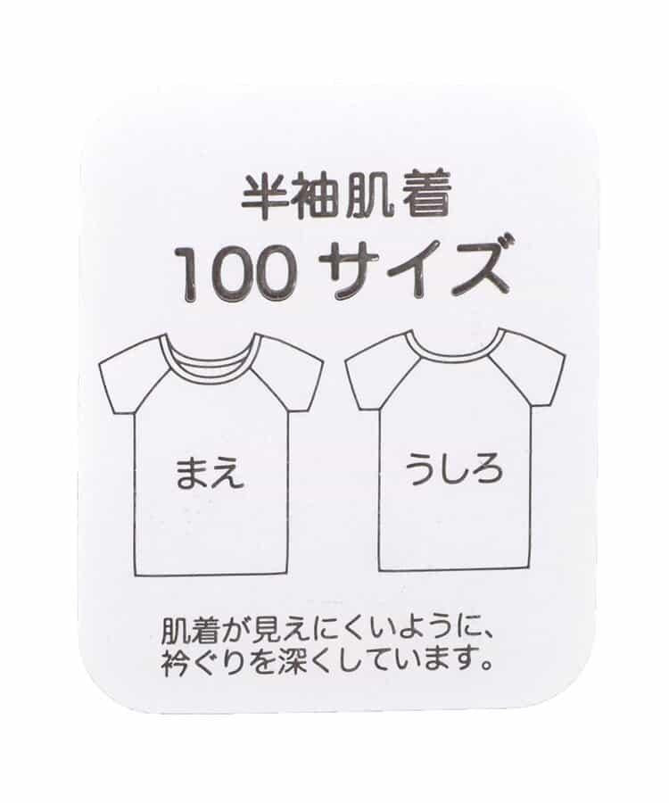 162400980