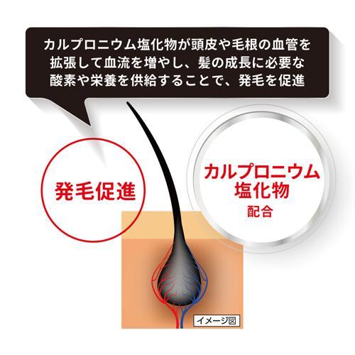 172407595