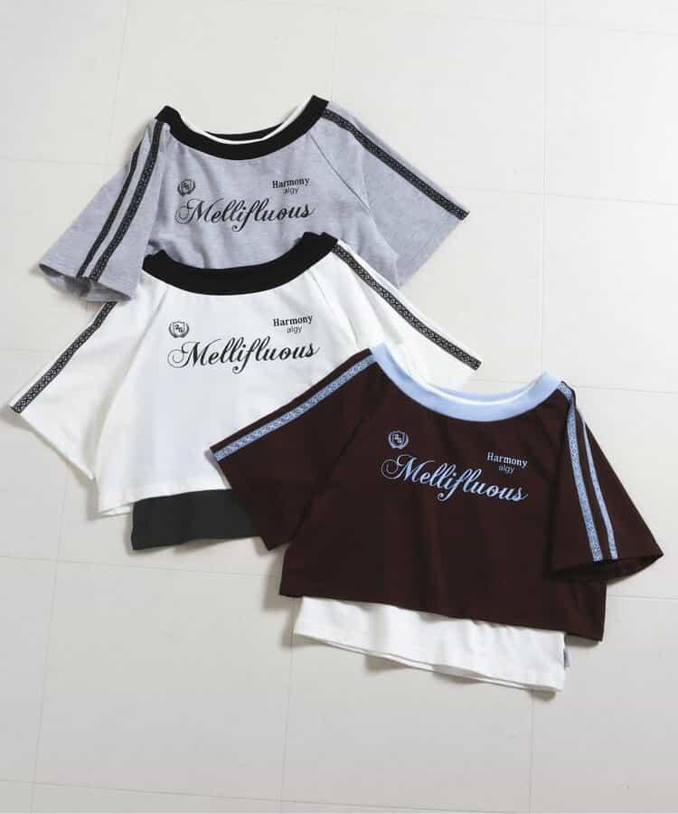169853940