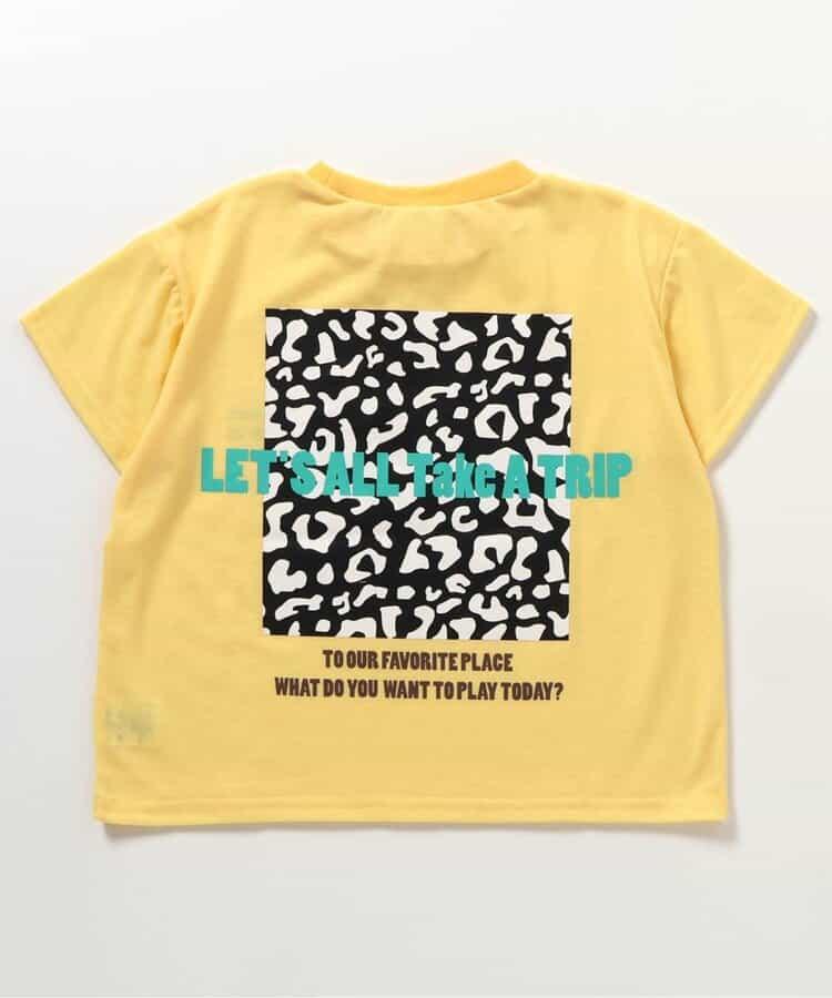 170452685