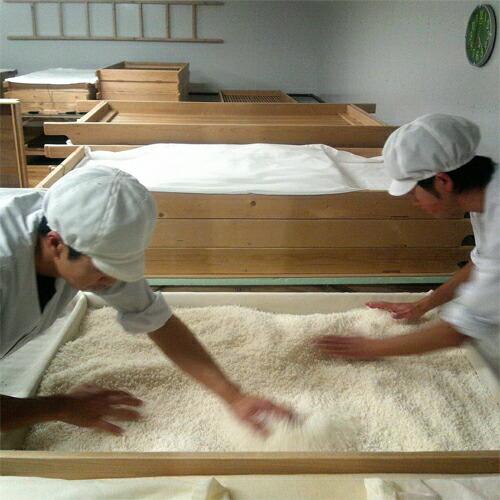 172547081
