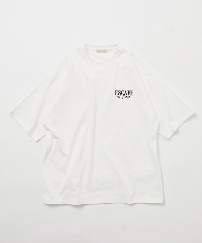 170271861