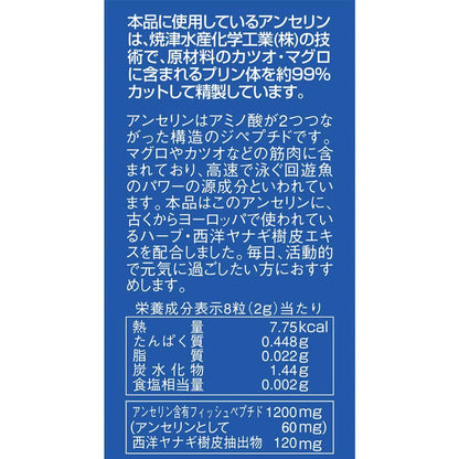 172565881