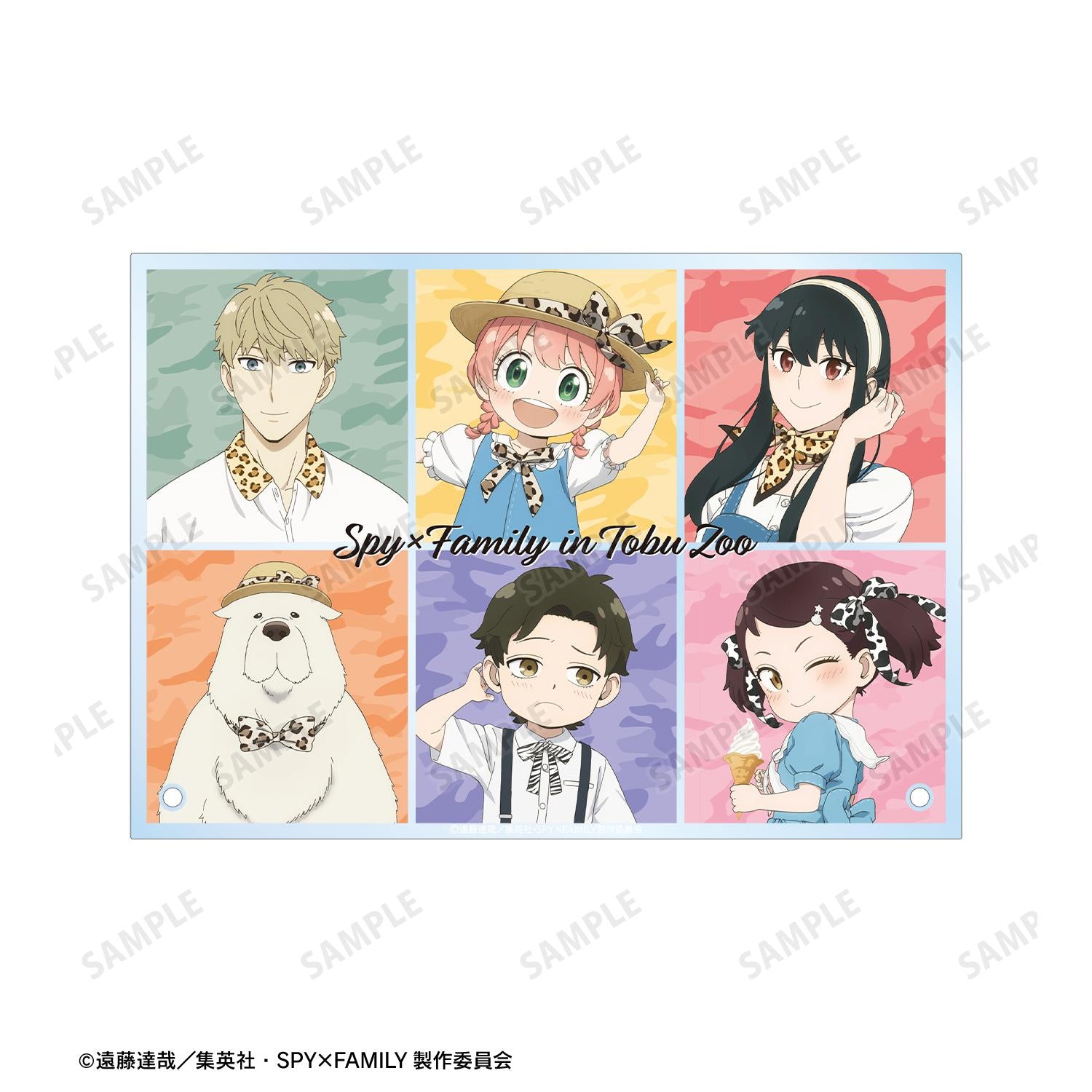 137676853
