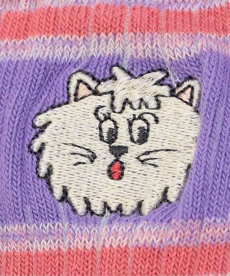 169855031